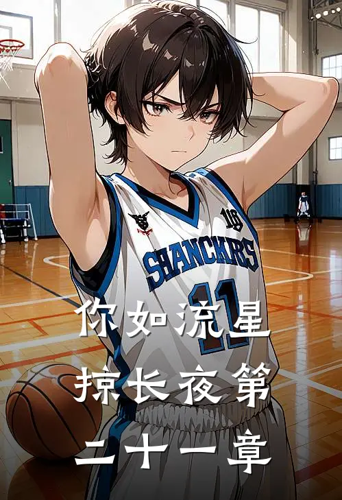 你如流星掠长夜第二十一章