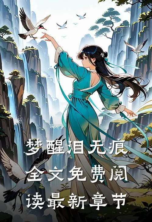 梦醒泪无痕全文免费阅读最新章节